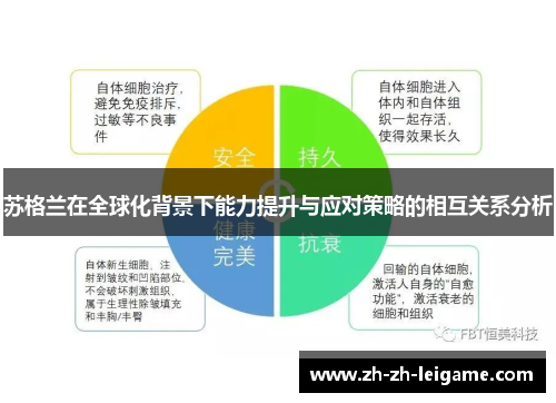 苏格兰在全球化背景下能力提升与应对策略的相互关系分析 苏格兰在全球化背景下能力提升与应对策略的相互关系分析