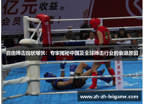自由搏击现状堪忧：专家揭秘中国及全球搏击行业的衰退原因