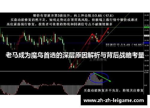 老马成为魔鸟首选的深层原因解析与背后战略考量