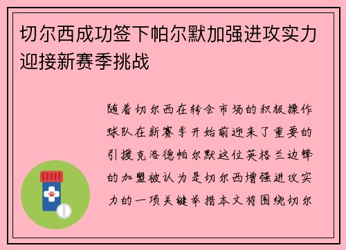 切尔西成功签下帕尔默加强进攻实力迎接新赛季挑战